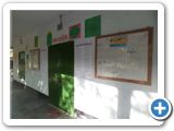 SAM_0699