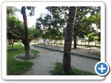 SAM_0719